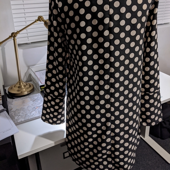 🔥3/$30🔥H&M Polka dot shift dress - sz 4 - Picture 3 of 8